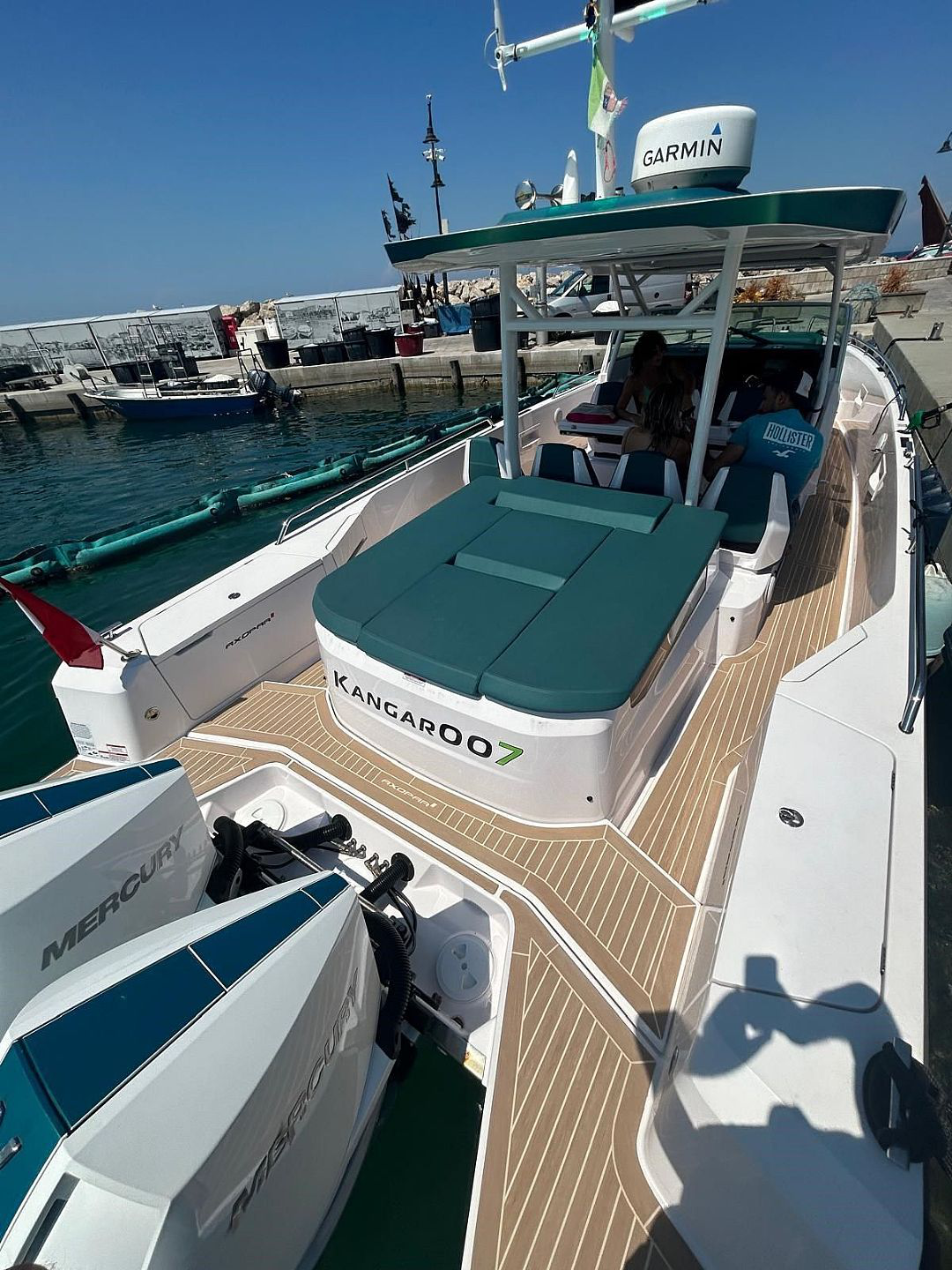 Profesionalna montaža